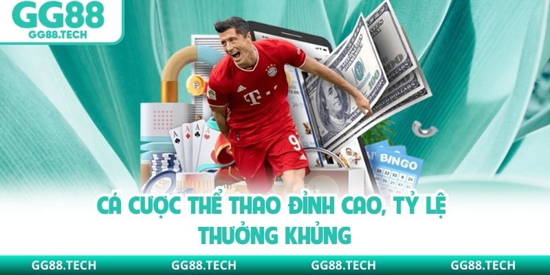 Cá cược thể thao đỉnh cao, tỷ lệ thưởng khủng