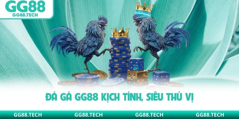 Đá gà GG88 kịch tính, siêu thú vị